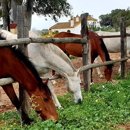 Rural La Corbera Inn Utrera