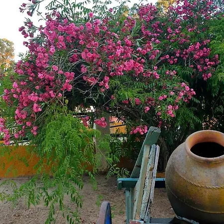 Rural La Corbera Inn 2*